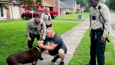 Hershey found