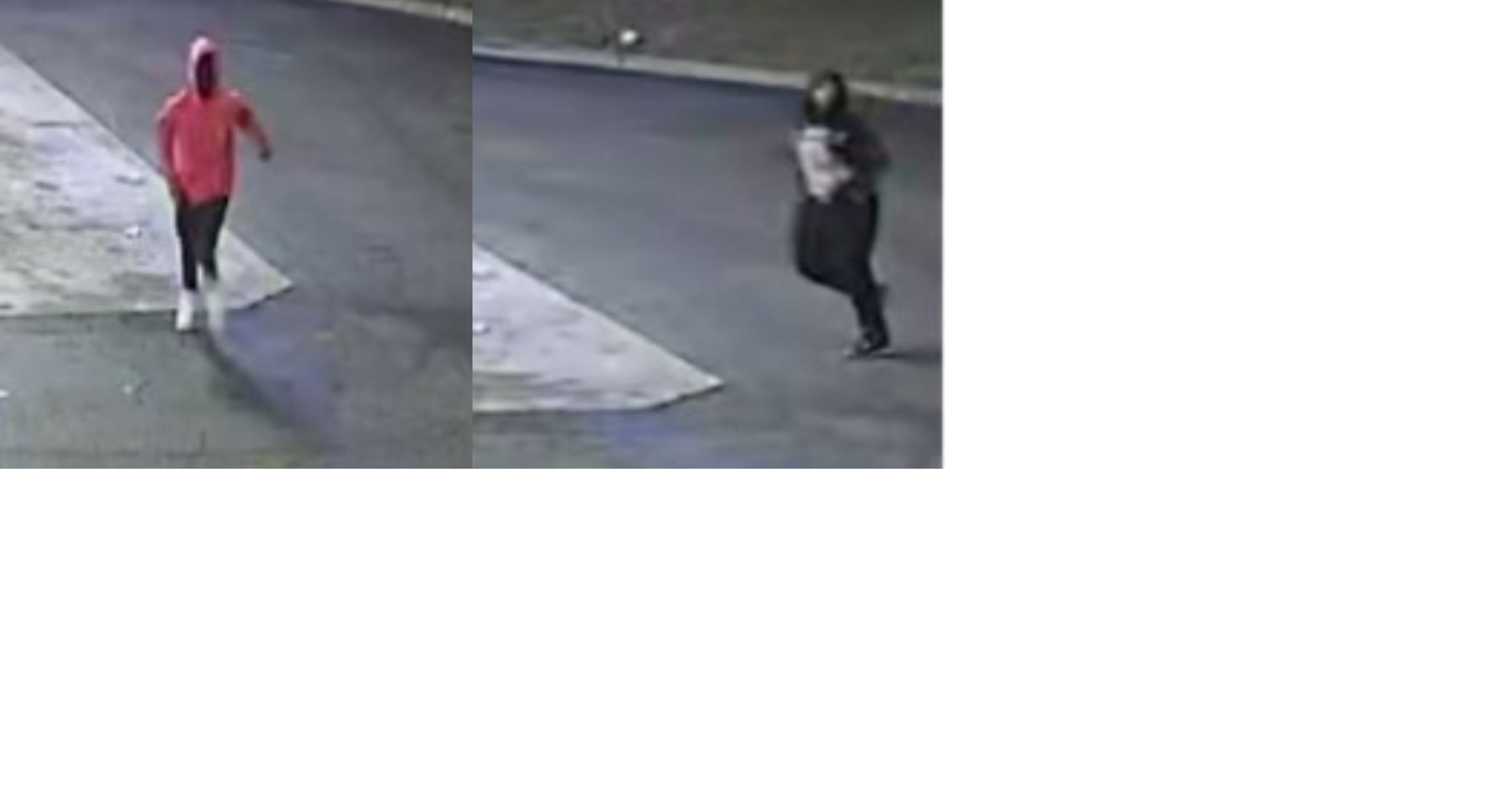 Memphis Police Seek Two Men After Raleigh Attempted Carjacking