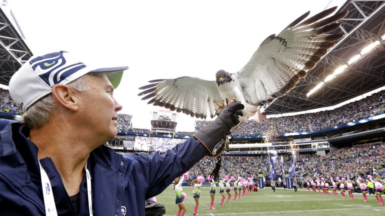 A Seahawk flies out of the tunnel before the Seattle Seahawks NFL