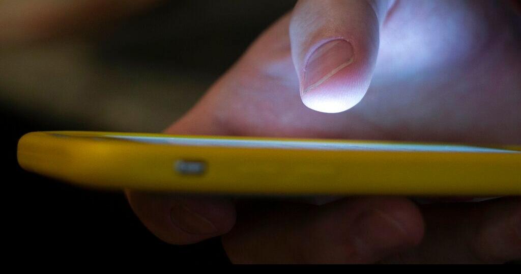 Federal Judge Blocks Tennessee Age Verification Law