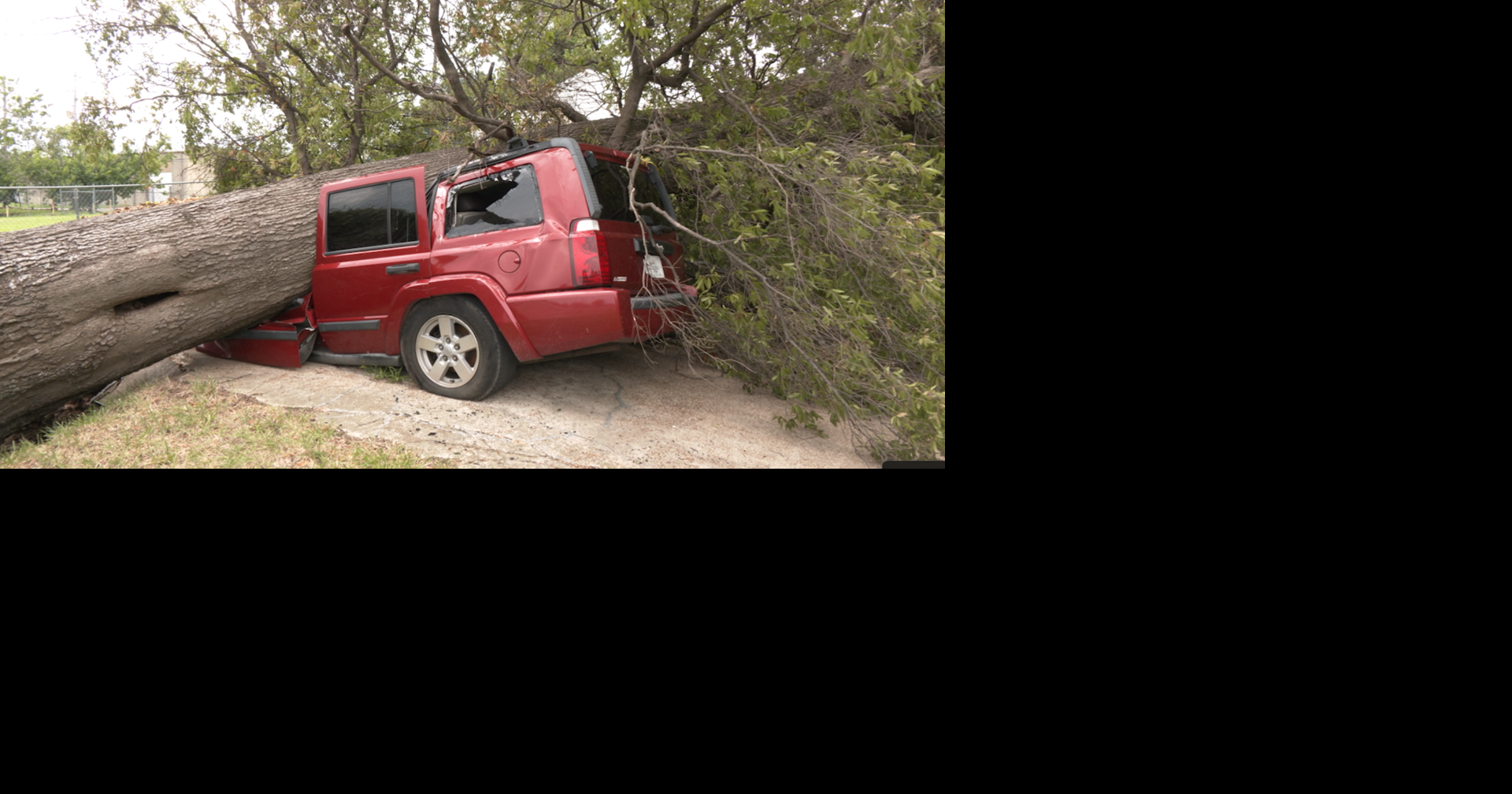 Memphis mother loses thousands after tree snaps on vehicles