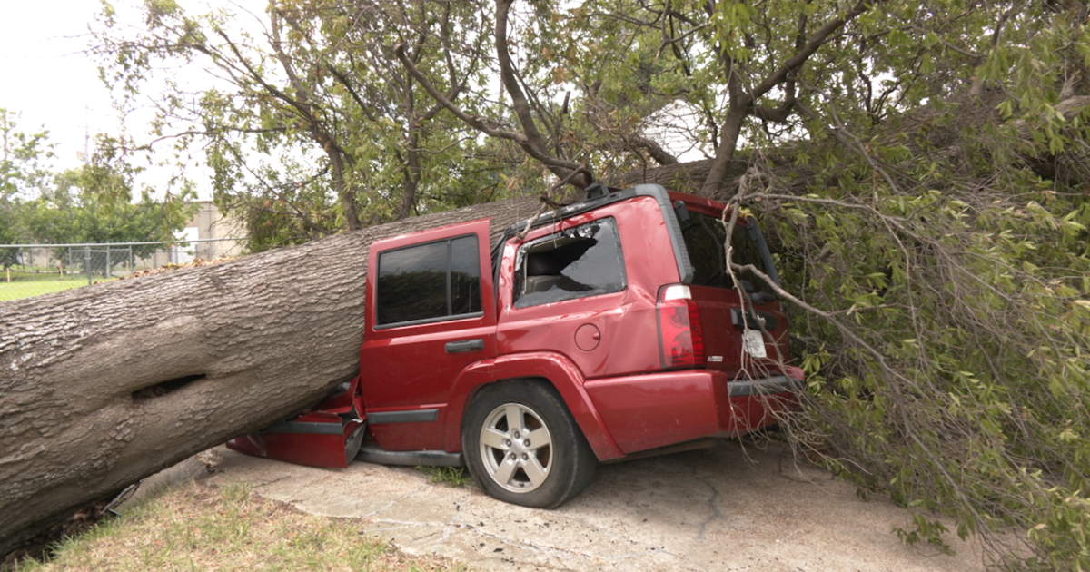 Memphis mother loses thousands after tree snaps on vehicles