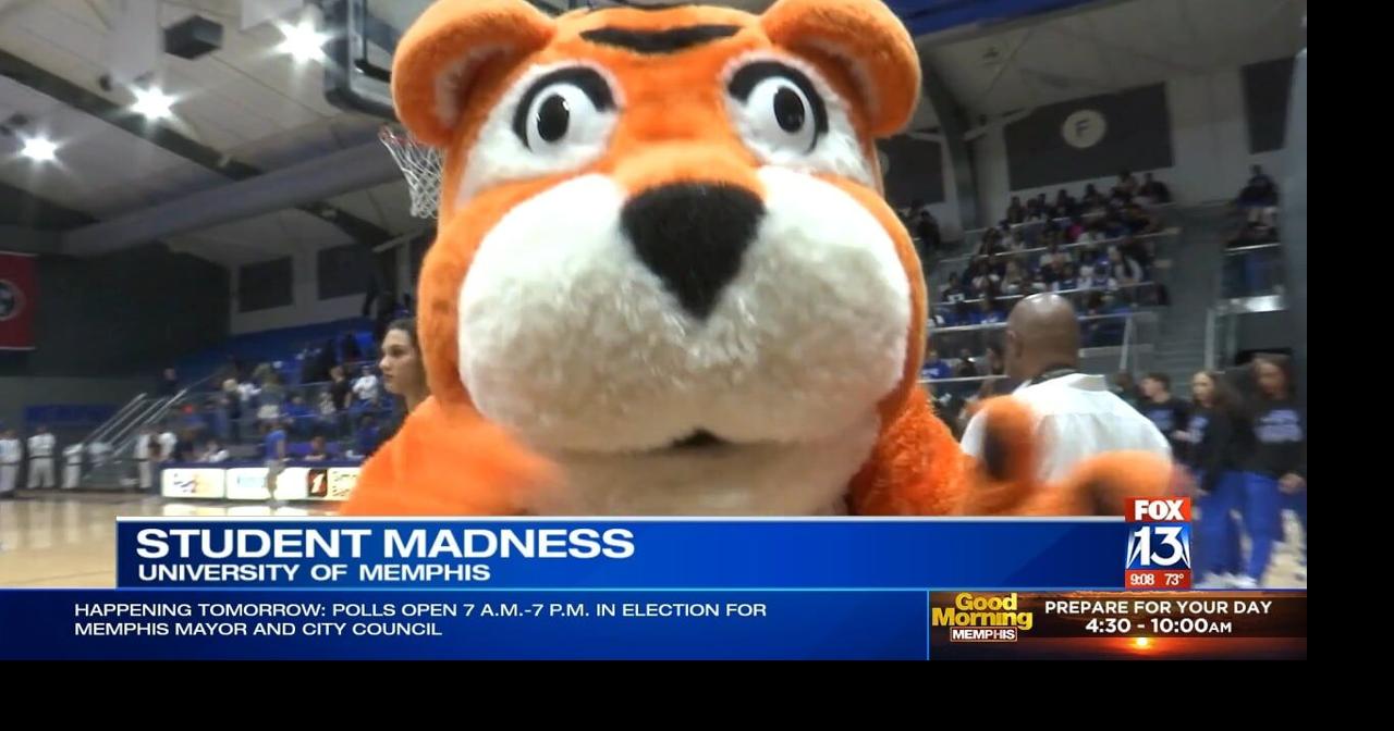 February 12, 2011: Memphis Tigers Mascot NCAA Basketball game between  Memphis Tigers and Southern