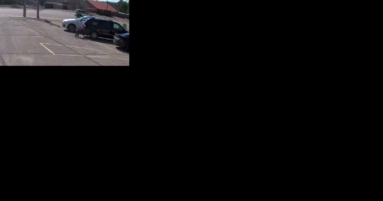 Attempted carjacking happened at Frayser daycare | News - Vimarsana News
