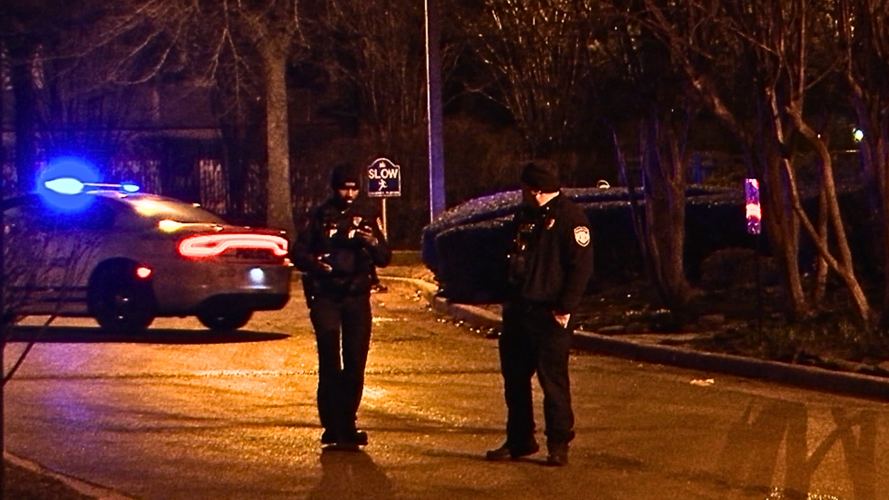 Woman shot at Whitehaven apartments, police say News