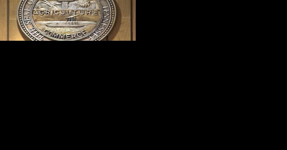 Why 'accessory' charge bond varies from state to state | News - Vimarsana News