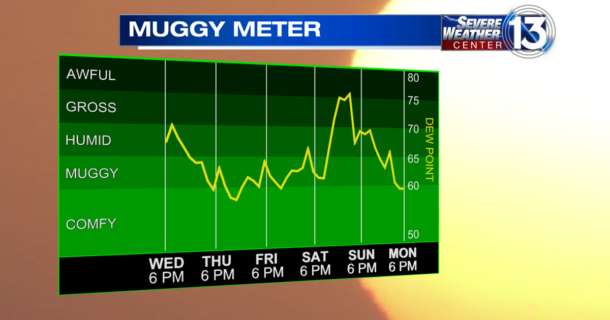 Muggy Meter