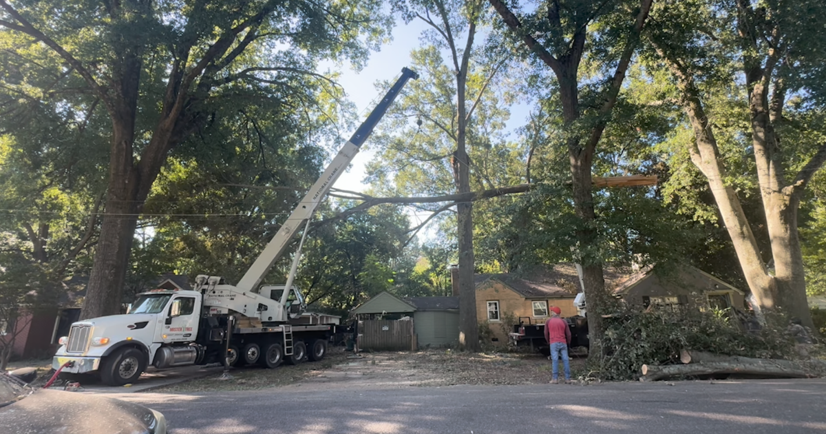 ‘Overflowing with gratitude’: Memphis tree trimmers save family’s home