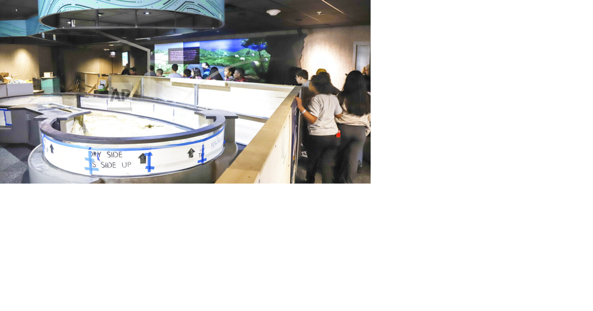 New TN aquarium exhibit showcases Appalachian aquatic life News