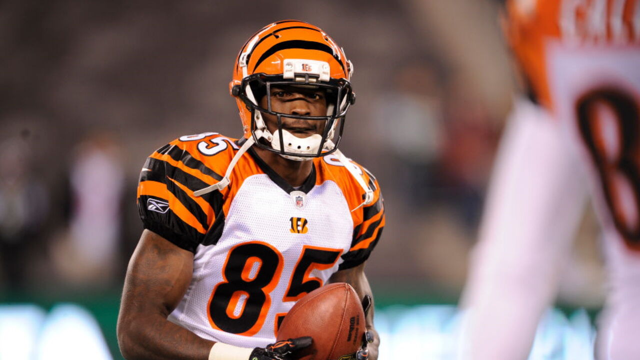 Cincinnati Bengals wide receiver Chad Ochocinco takes the field