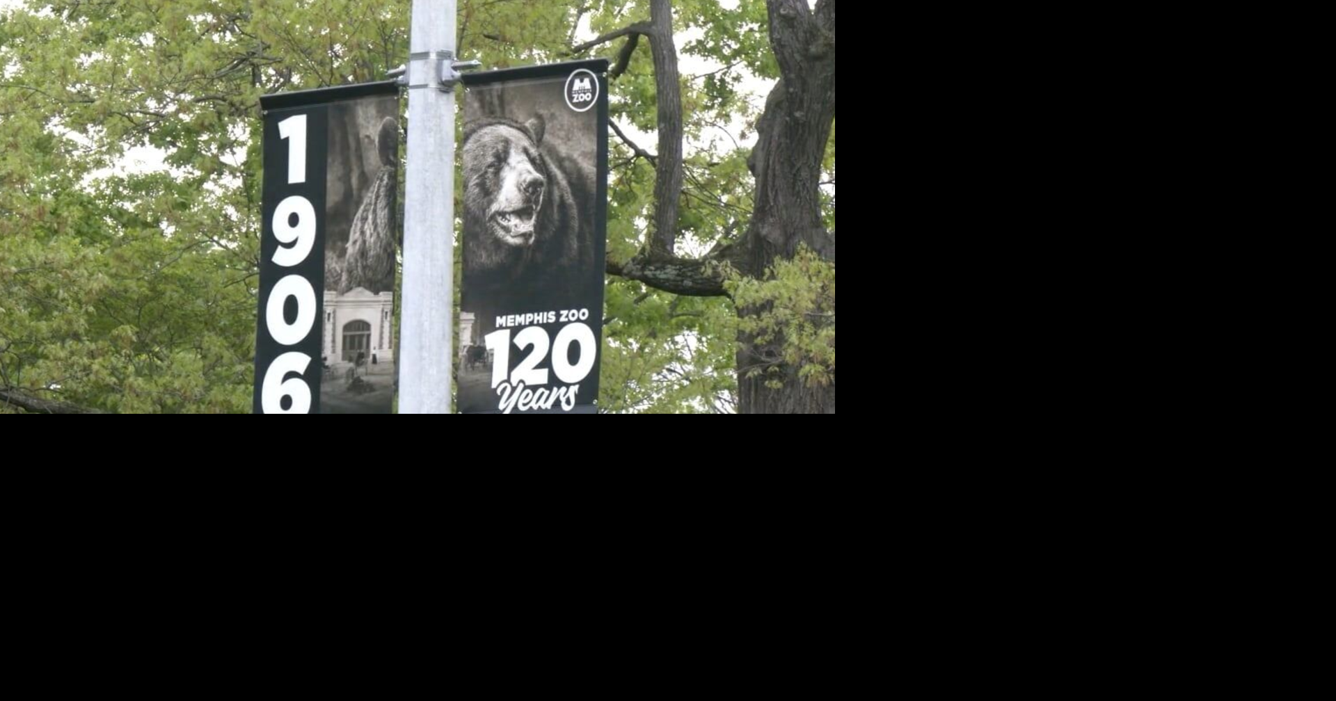 Memphis Zoo reopens Sunday with 'enhanced security' following bomb threat