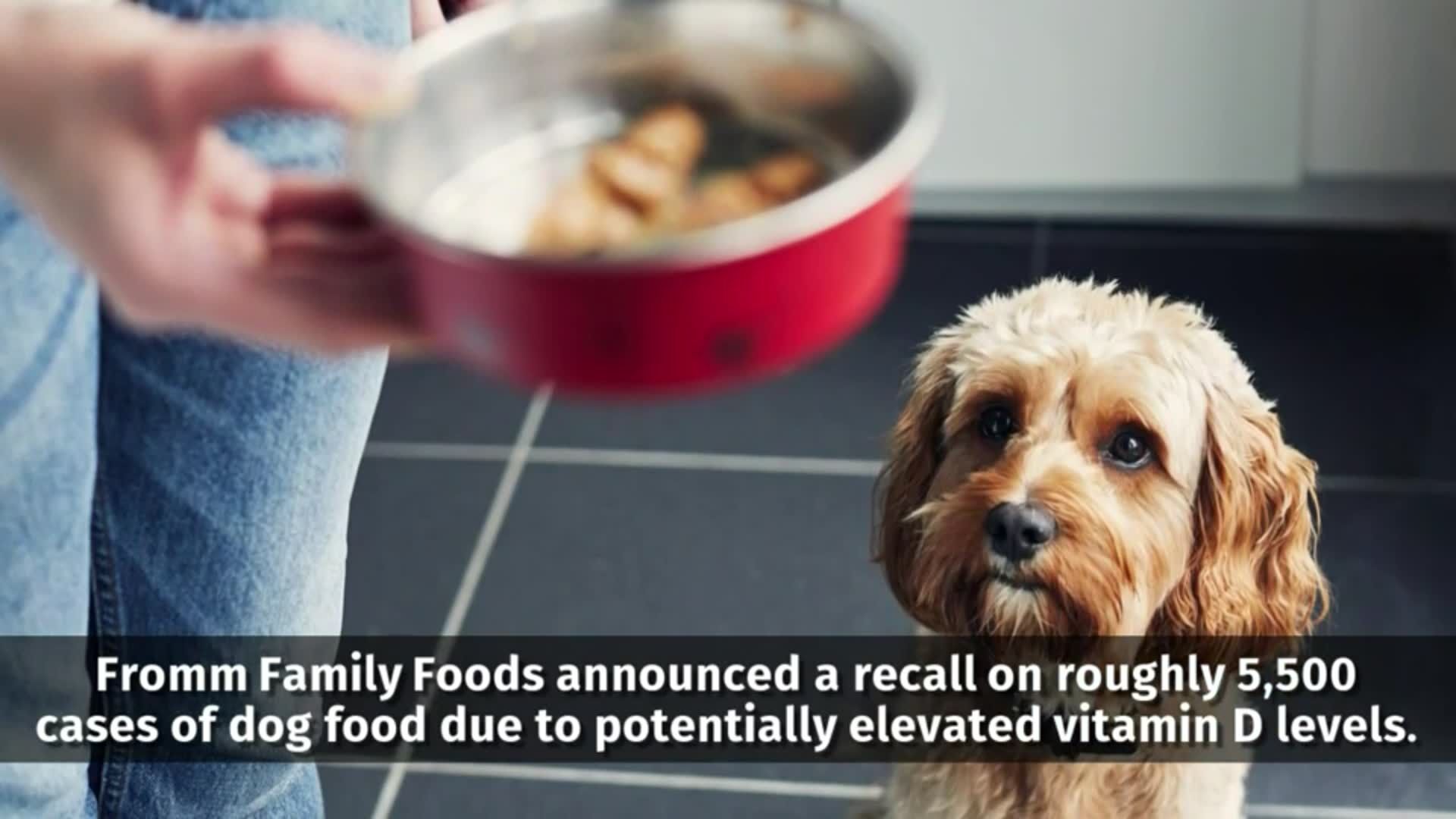 Recall alert Fromm Family Foods recalls select dog food citing