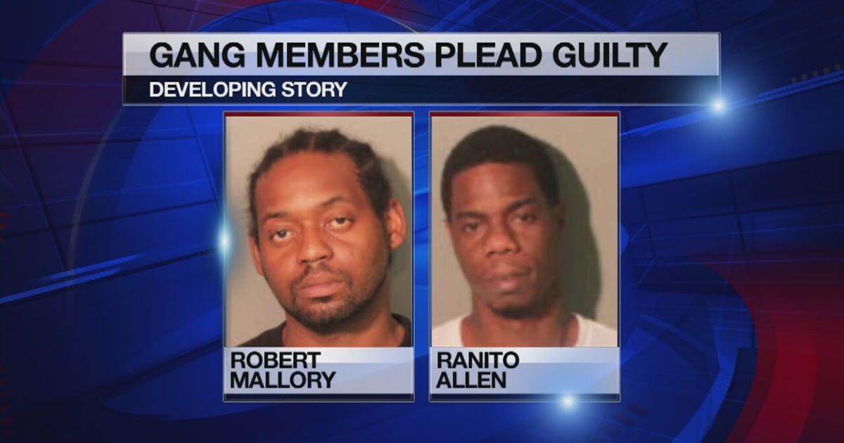 7 Gangster Disciples plead guilty to violent crimes | News ...