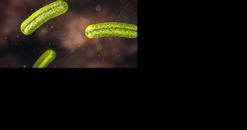Twin City Food, Inc., recalls frozen vegetables due to possible foodborne illnesses - Vimarsana News