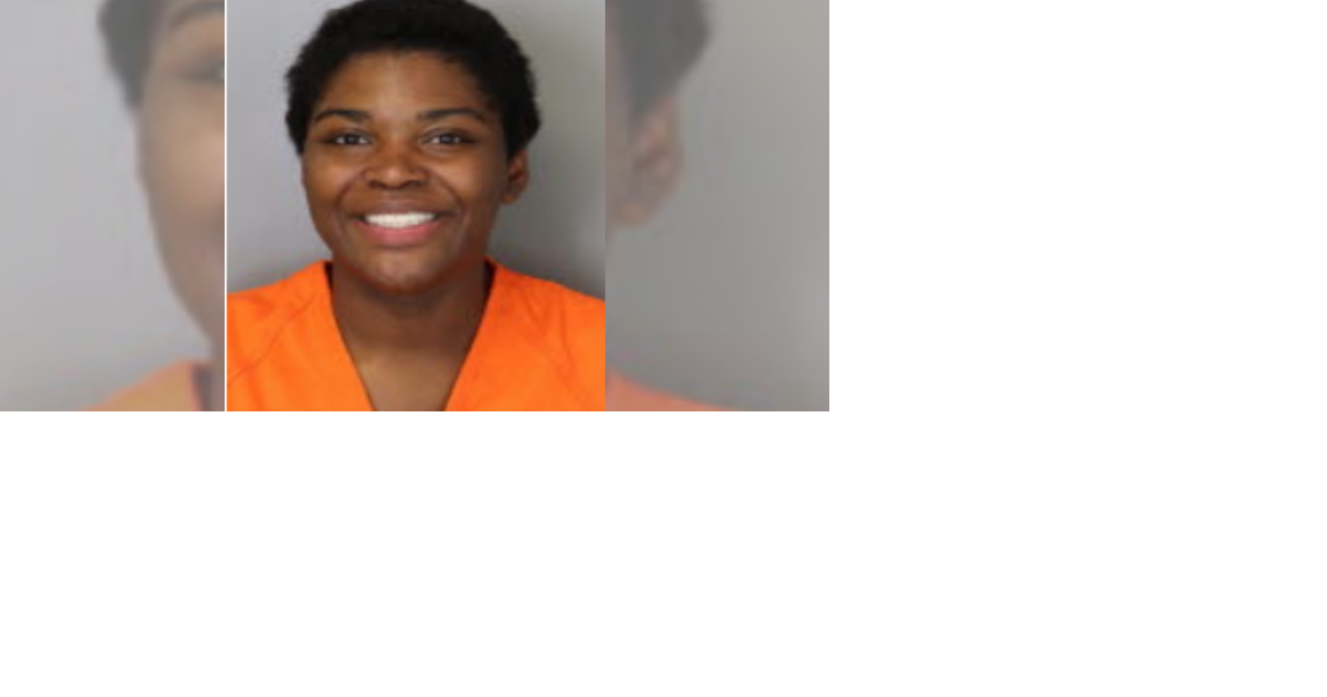Woman arrested after brutal bat attack, police say | News ...