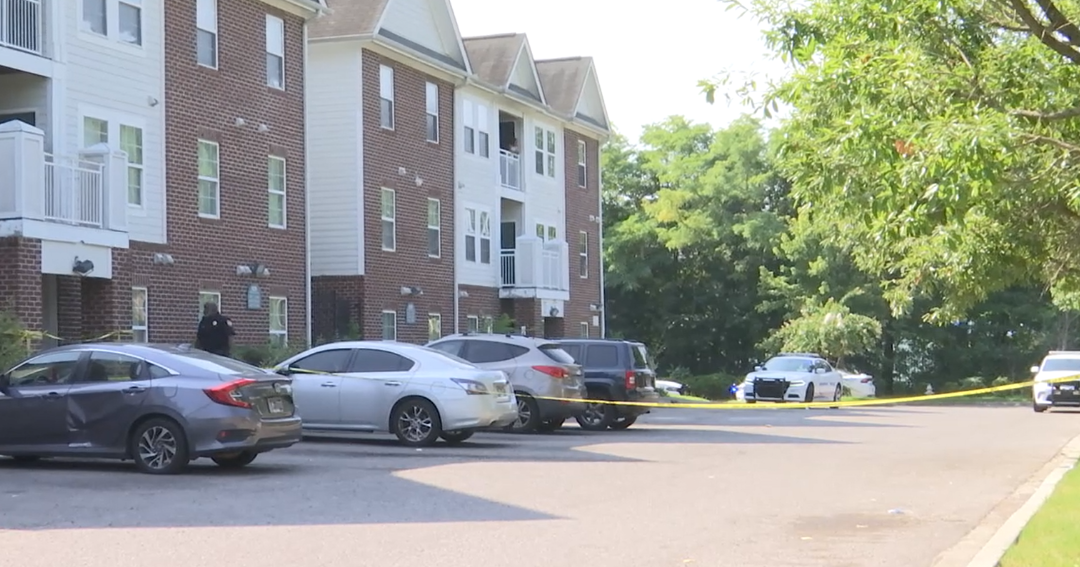 WATCH: Woman shot by neighbor in North Memphis, police say | News | fox13memphis.com