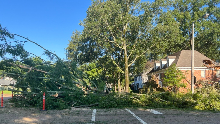 PHOTOS: Storm damage continues to pile up across the Mid-South | News ...