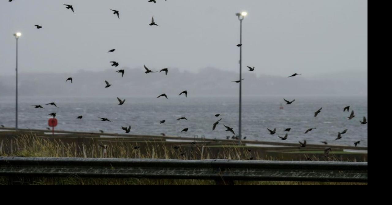 ...Total devastation...: Fiona causes major damage in eastern Canada ...