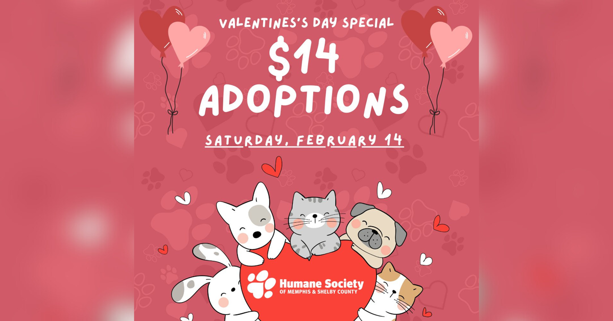 Humane Society to offer $14 Valentine's Day adoption fees | Community | fox13memphis.com