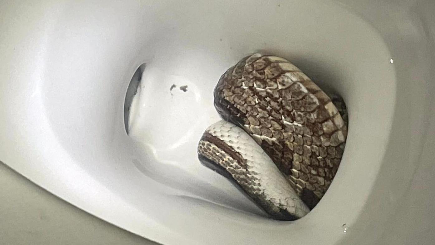 How to Snake a Toilet