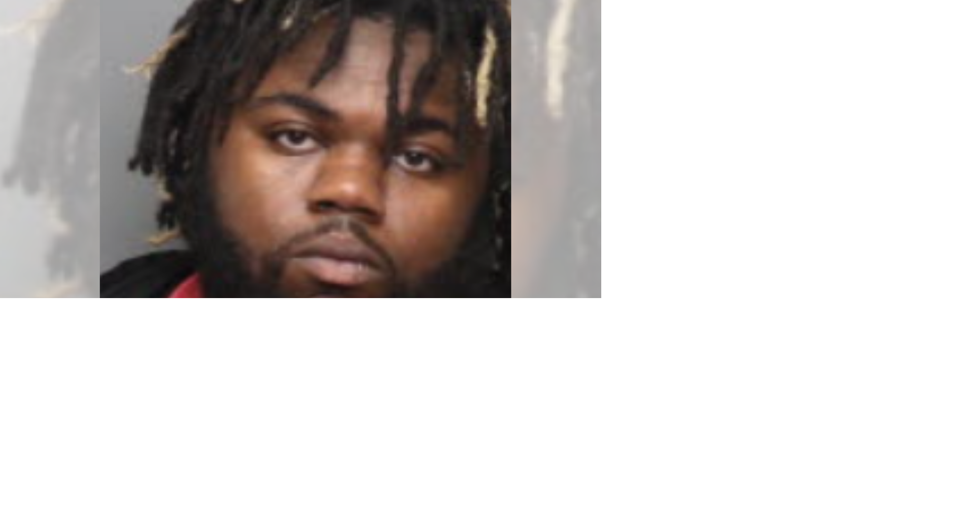 Man charged with animal cruelty after 11 dogs, one raccoon rescued from ...