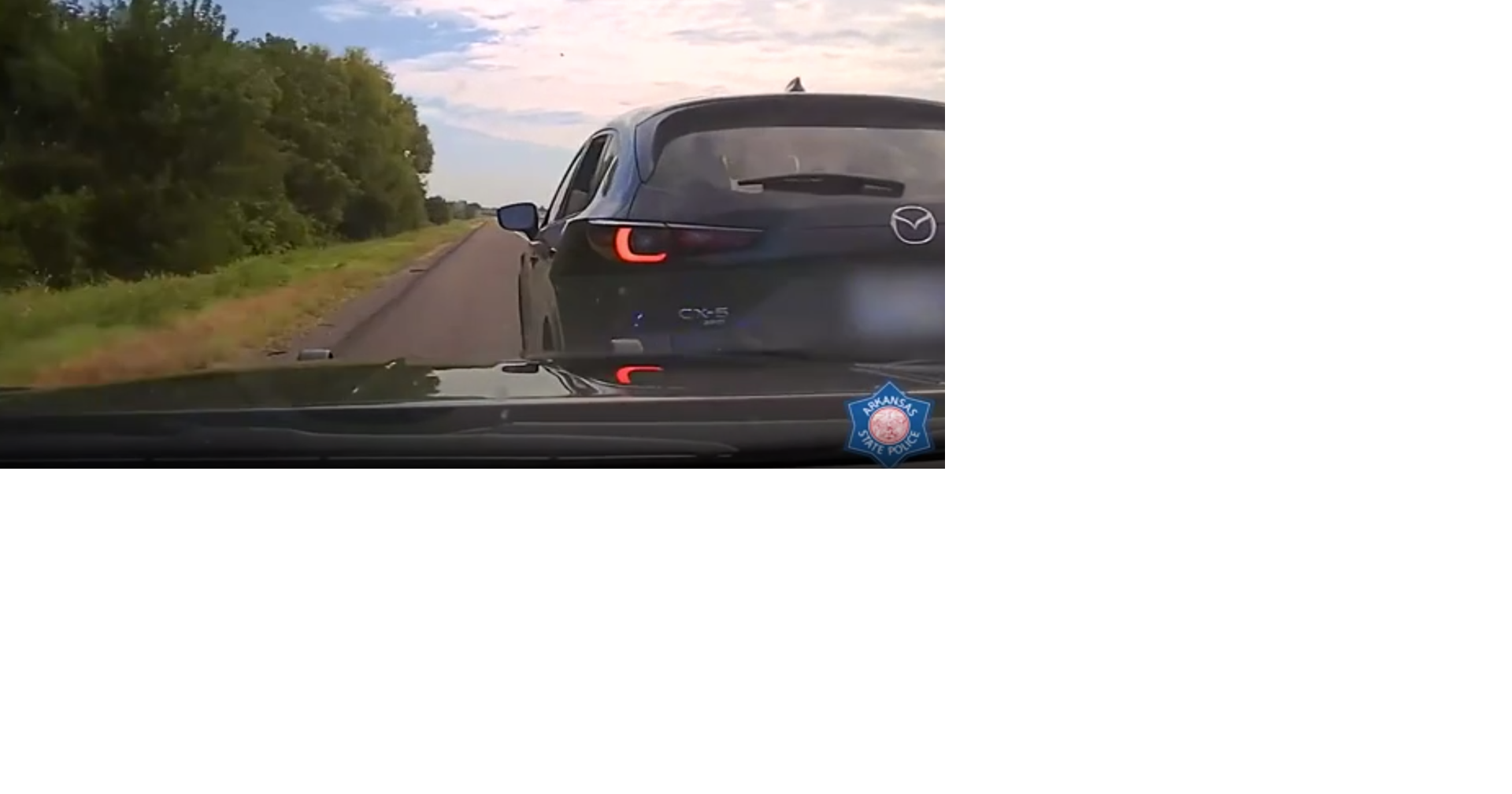 Man drives wrong way down I-55 while running from police | News ...