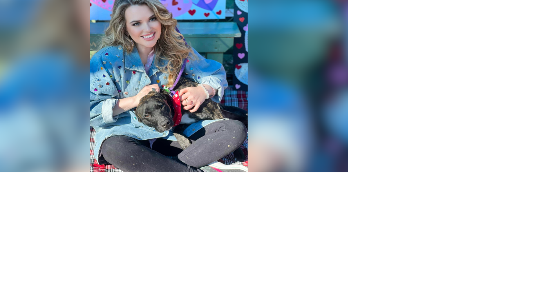 Memphis animal services offering free vaccines for dogs news