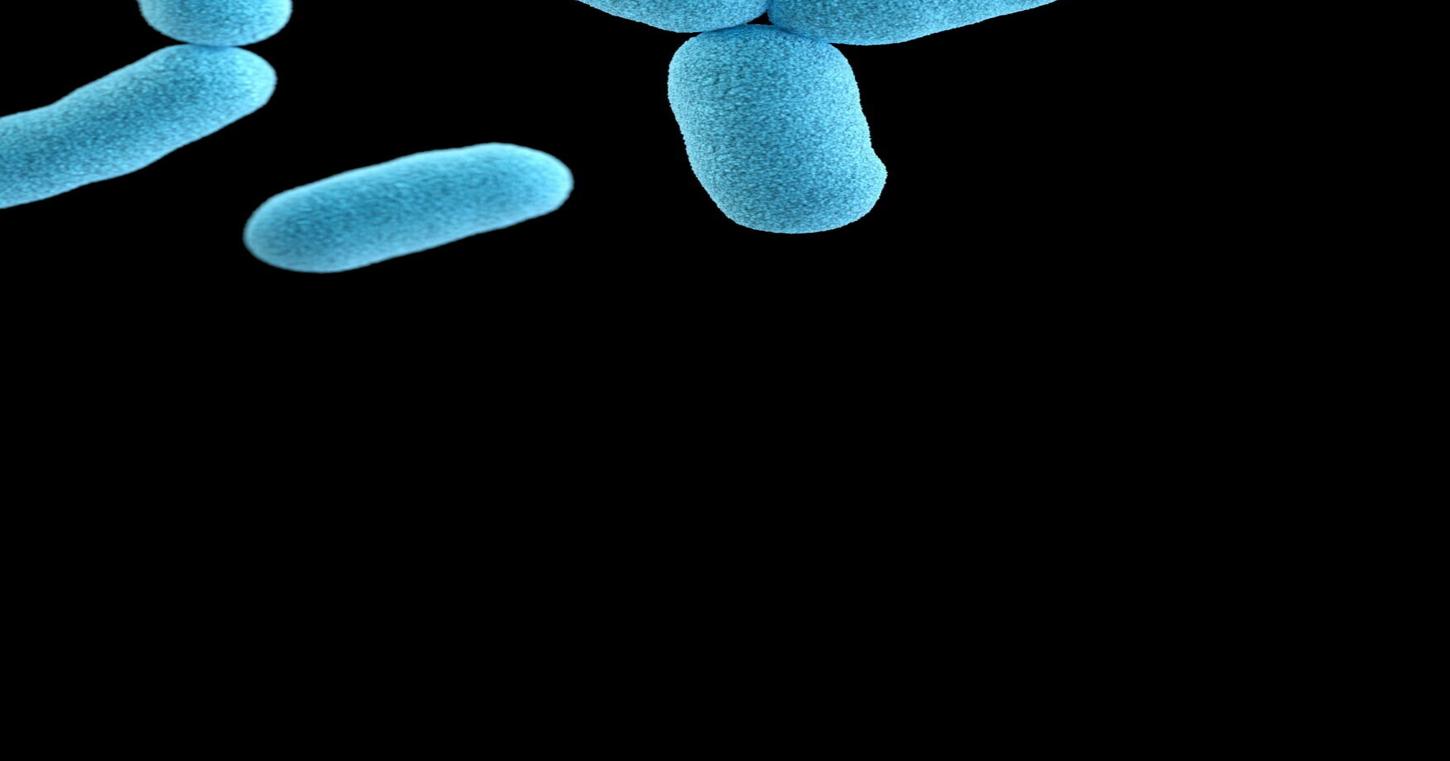 How this deadly superbug spread and rose to global dominance | Health