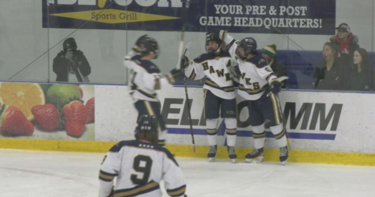 Hermantown's Drew Nelson to play college hockey at Alaska Anchorage