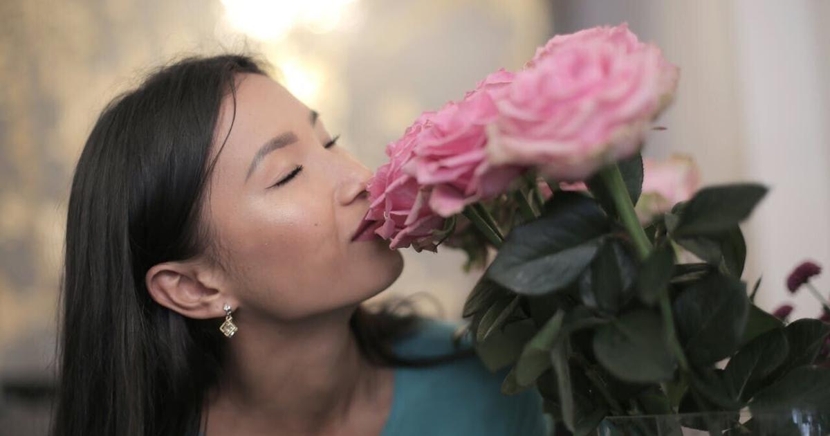 Scientists develop first-ever ‘smell map’ of receptors in noses | Health Scientists develop first-ever ‘smell map’ of receptors in noses | Health