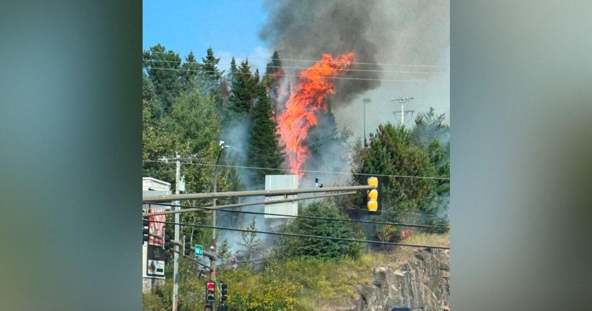 Firefighters extinguish wildfire near Duluth Home Depot