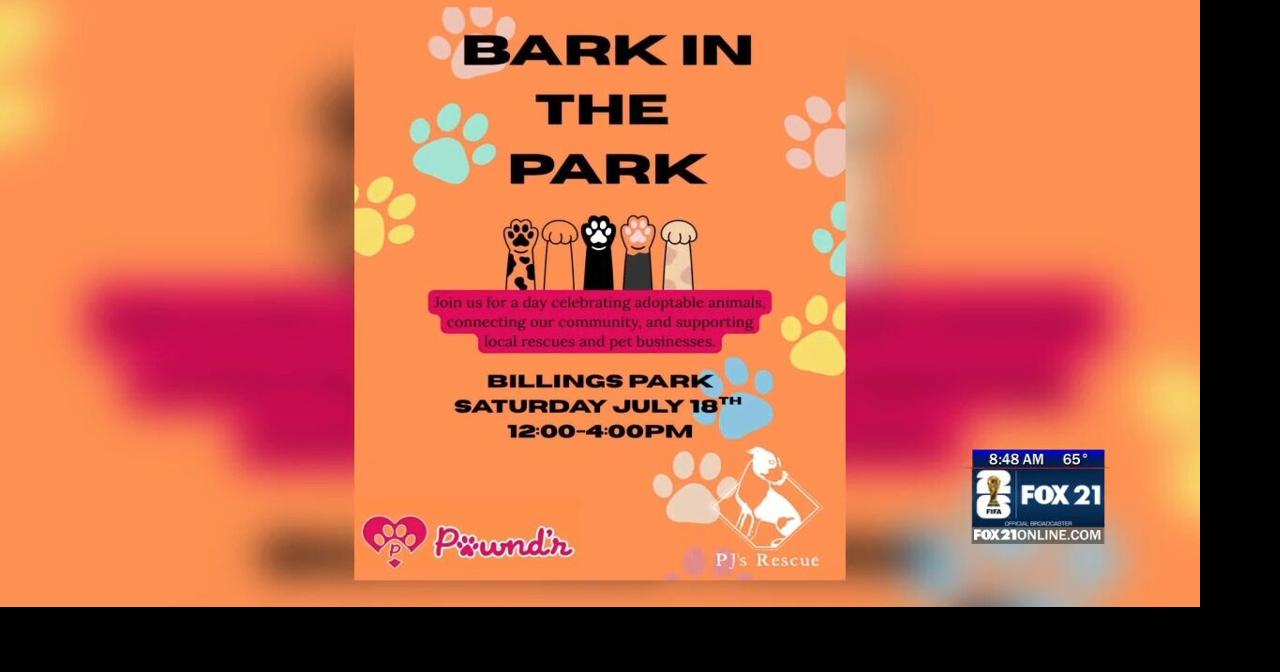 Local developer of Pawnd'r app talks passion for pets, no-kills shelters
