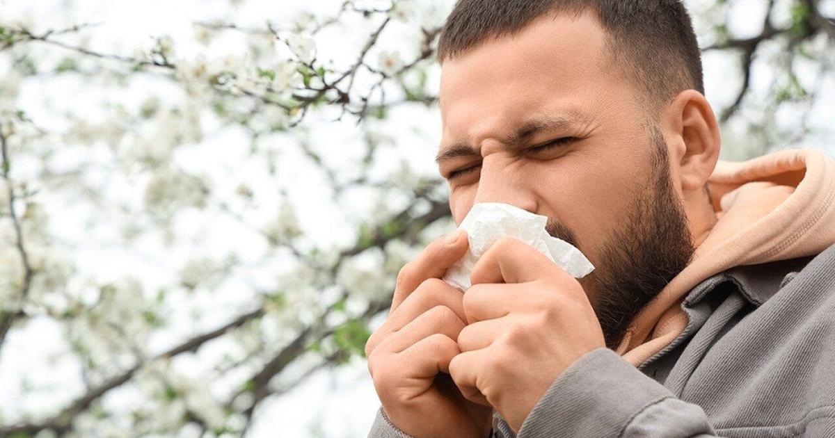 Can you develop allergies later in life? | Health Can you develop allergies later in life? | Health