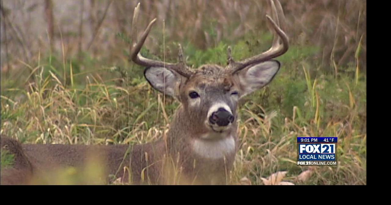 Venison donations to food banks & food shelves jump in 2025