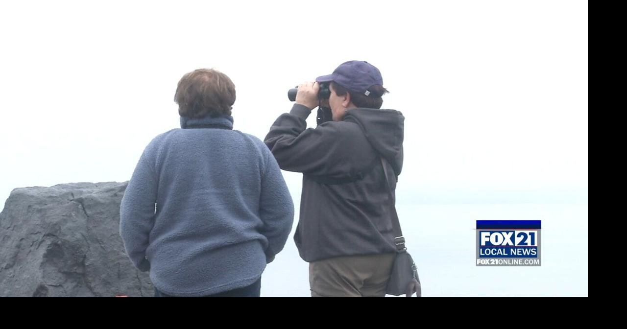 Hawk Ridge Bird Observatory Celebrates 50 Years | Homepage ...