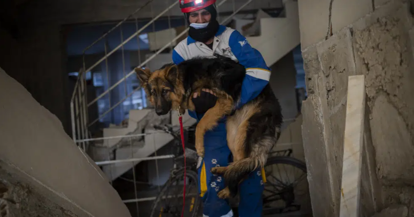 Rising Toll Makes Quake Worst In Turkey’s Modern History | Homepage ...