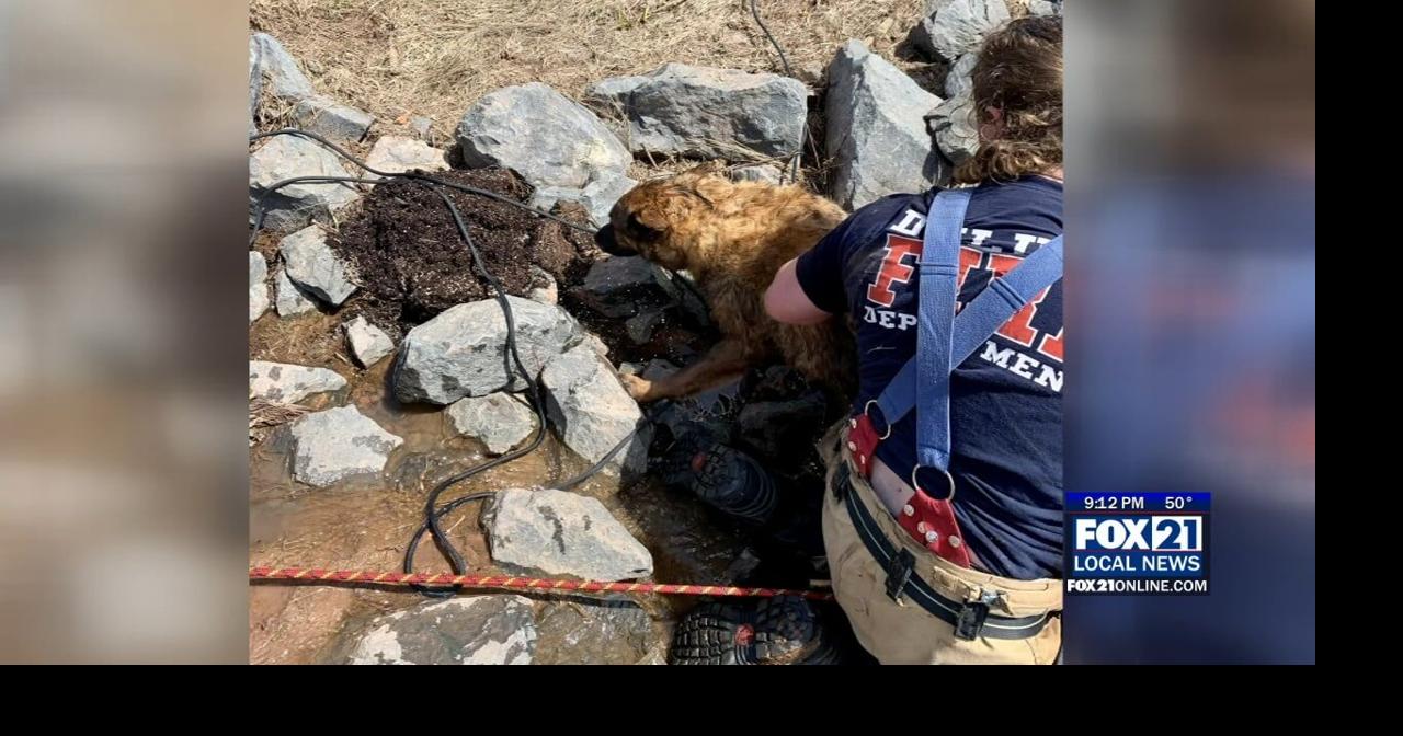 Duluth Firefighters Rescue Dog Stuck In Culvert | News | fox21online.com