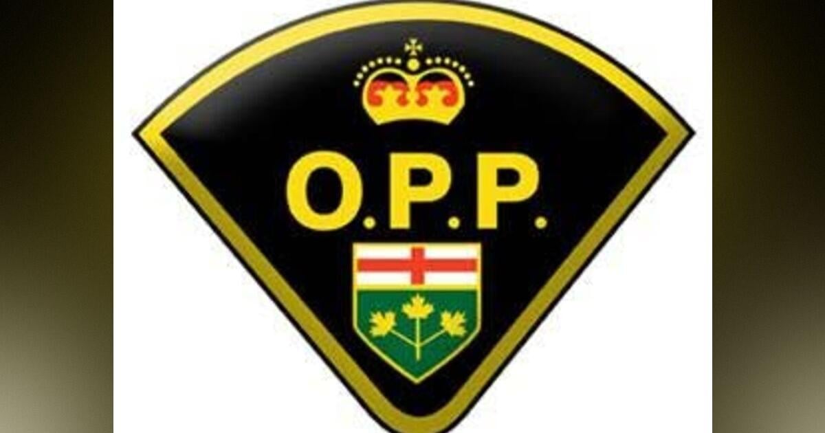 Ontario Provincial Police catch man that allegedly stole International Falls boat