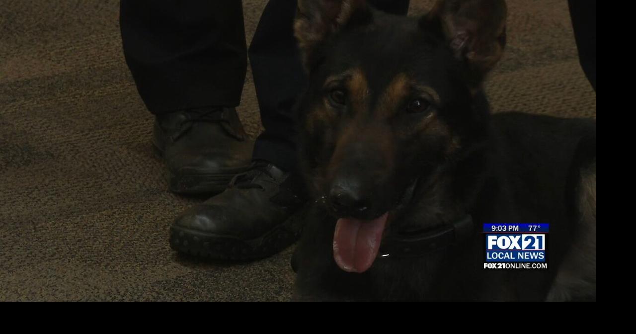 ‘Atlas’ Joins the Superior Police Department | Homepage | fox21online.com