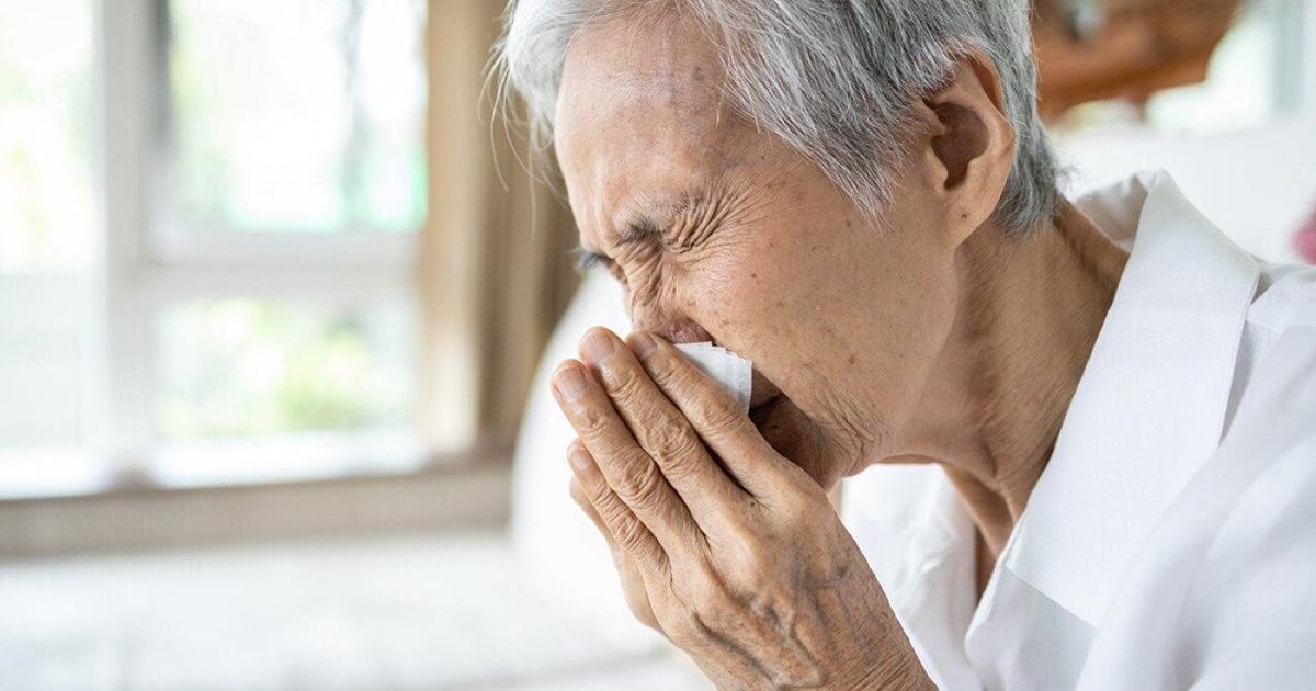 Is there a best allergy medicine for seniors? Safe medications and which ones to avoid | Health Is there a best allergy medicine for seniors? Safe medications and which ones to avoid | Health