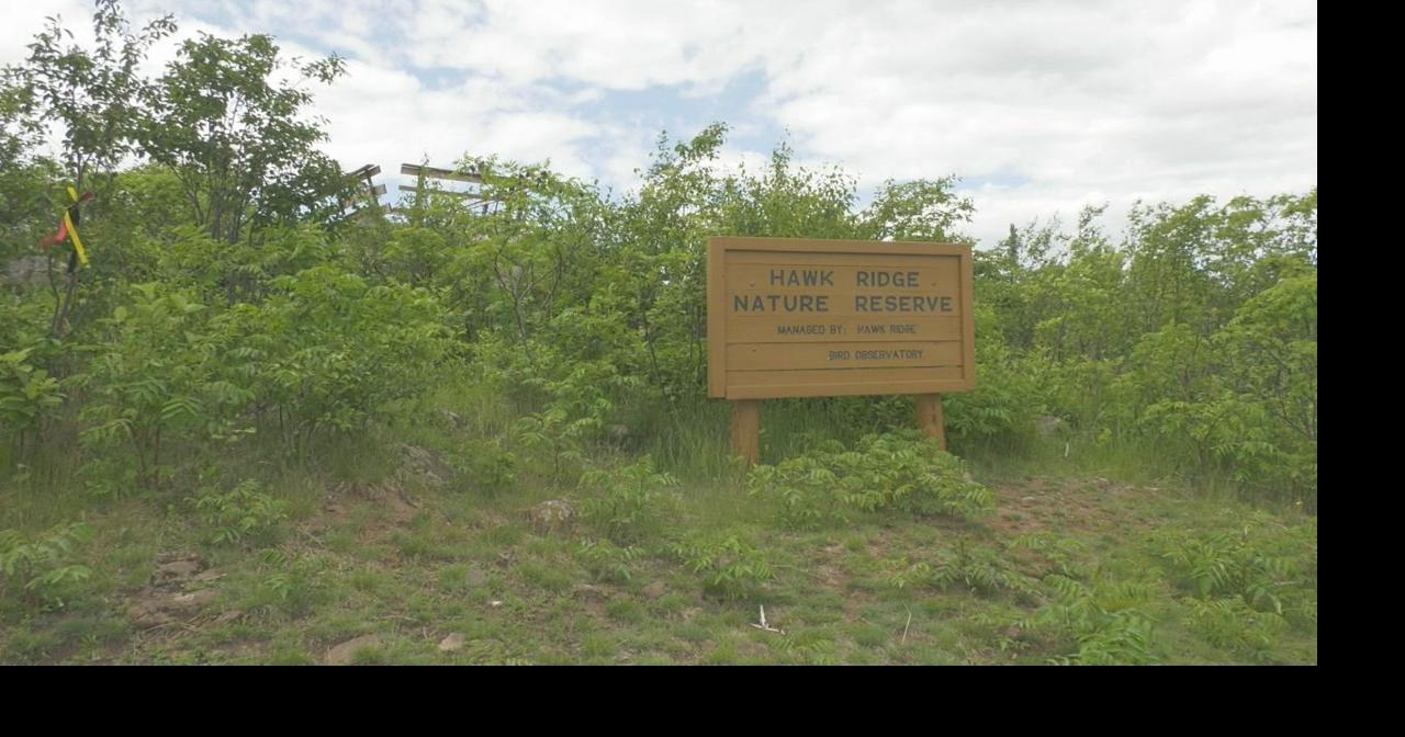 Hawk Ridge breaks ground on new trail | Local & State News ...