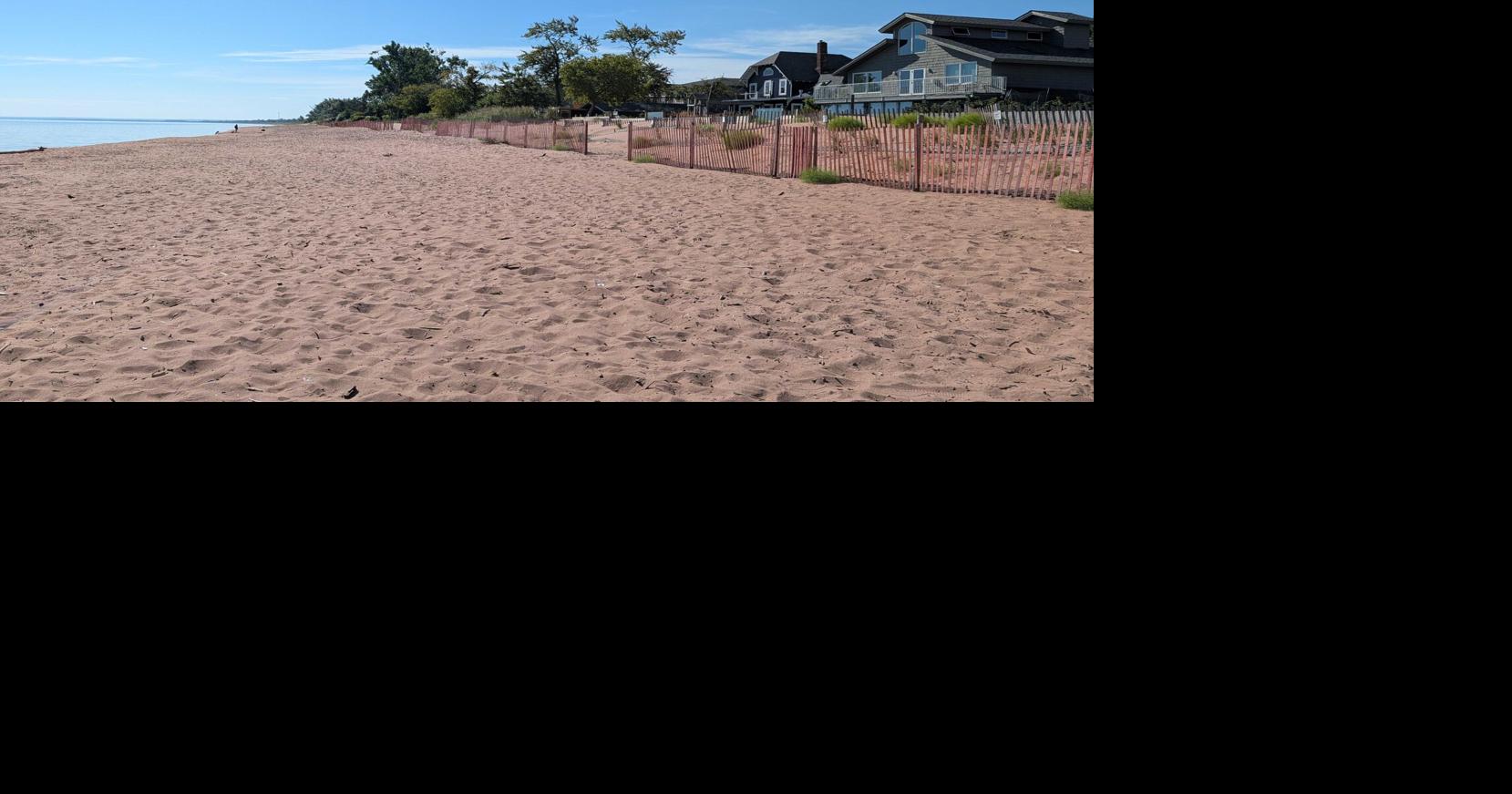 Volunteers wanted to help plant grass on Park Point Beach
