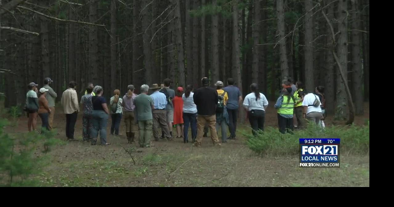 River Walk Goes Over Planned Prescribed Burn on Wisconsin Point | News ...