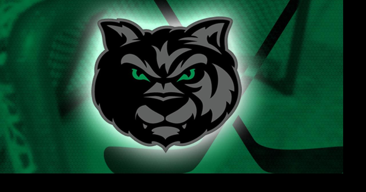 Wilderness defenseman Joseph Luger commits to St. John's