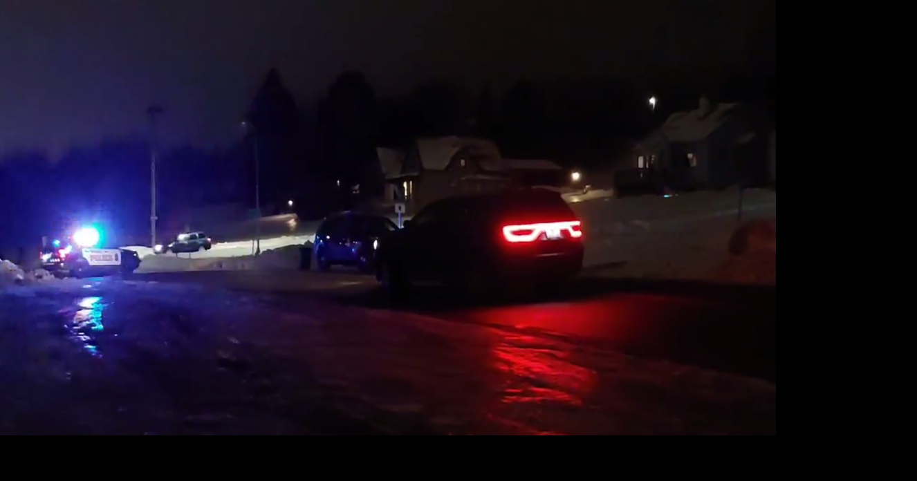 Duluth K-9, Suspect Dead In Officer-Involved Shooting | News ...