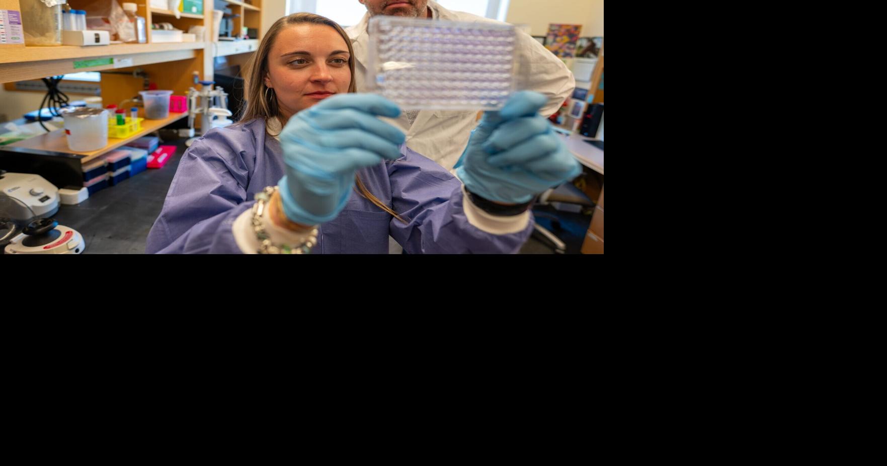 ‘Game changer’ drug turns cancer’s defenses against itself | Health