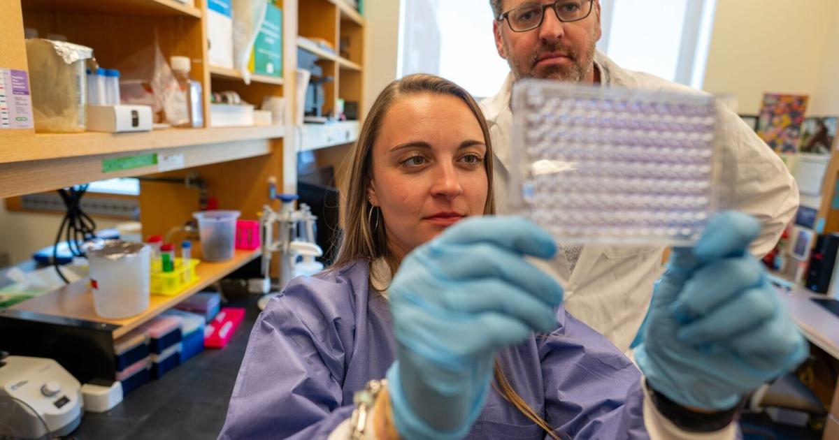 ‘Game changer’ drug turns cancer’s defenses against itself | Health ‘Game changer’ drug turns cancer’s defenses against itself | Health