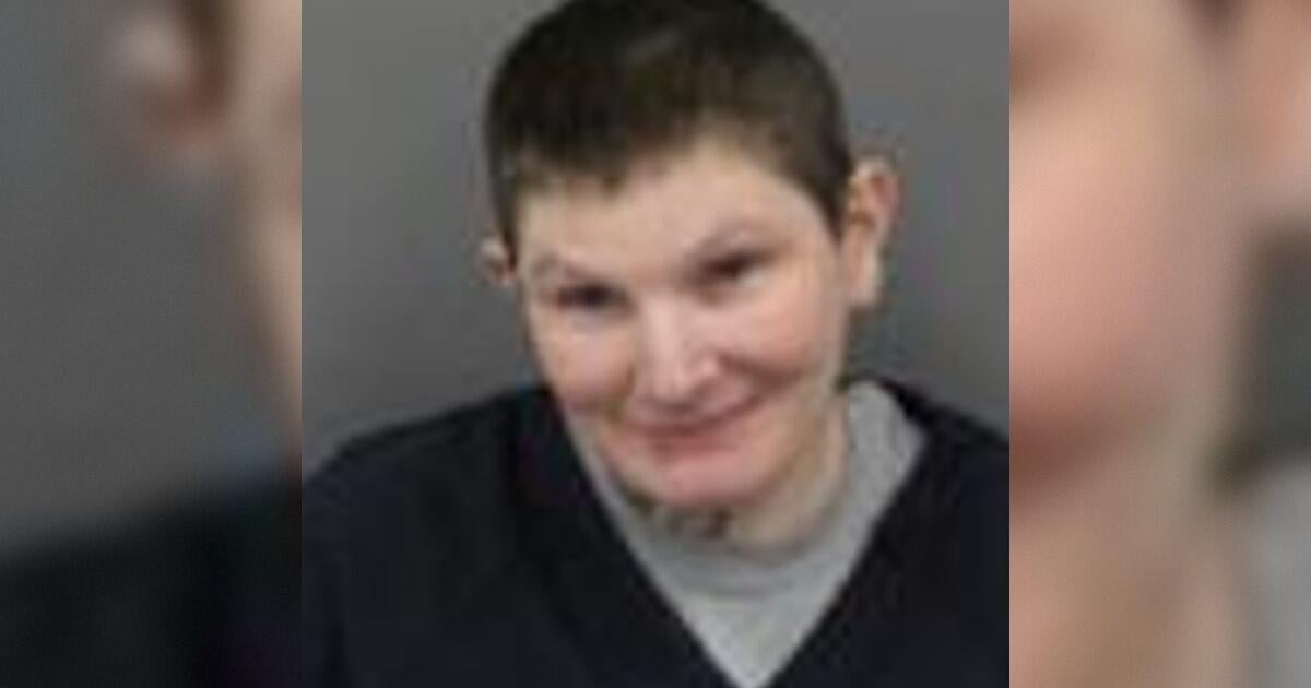 Woman accused of hit & run in McDonald's parking lot then police chase ...