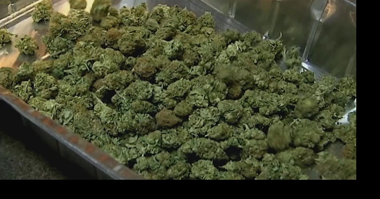 Minnesota Student Survey: Youth cannabis use down