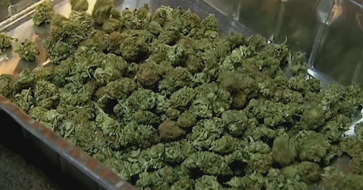 Minnesota Student Survey: Youth cannabis use down | News Minnesota Student Survey: Youth cannabis use down | News